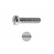 Tornillo din 84 6x10mm cabeza cilindrica zinc  (250 unidades) 
