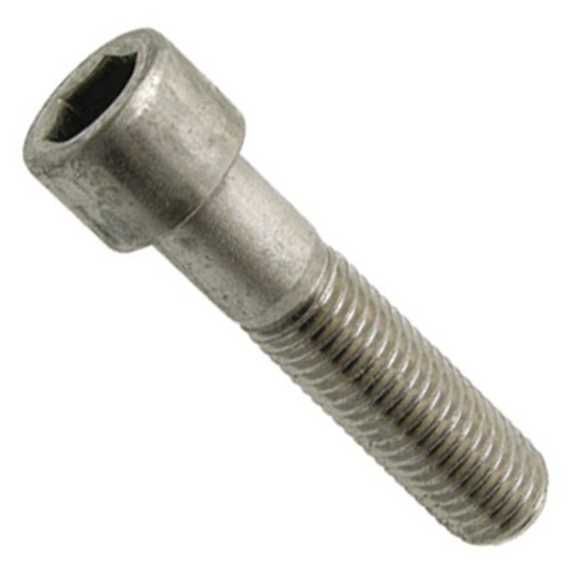 Tornillo INOX Allen M2 (10 unidades)