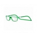Gafa PASSPORT verde lente PC + 1,00 dioptrias PEGASO