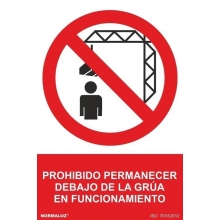 Señal prohibido estar debajo de la grua pvc 210x300x0,7mm NORMALUZ