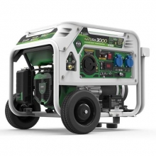 Grupo electrogeno Natura gas/gasolina 3,0 KVA E-START 230V GENERGY