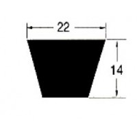 Correa dentada CX 57 LI-1448 