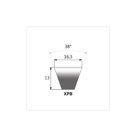 Correa dentada xpb 1600 