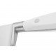 Cuchillo cocinero 250 mm Serie RIVIERA BLANC ARCOS