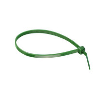 Brida nylon verde 2,5x100mm  (100 unidades) 