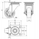 Rueda decoracion giratoria CLR-CLR 1-0780 30kg 50ø   ALEX