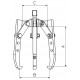 Extractor de 2/3 patas oscilantes 300x310mm FORZA