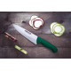 Cuchillo cocinero verde 200 mm Serie 2900 (6 unidades) ARCOS