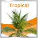 Repelente spray BLOOM DERM Tropical 100ml (garrapatas) BLOOM