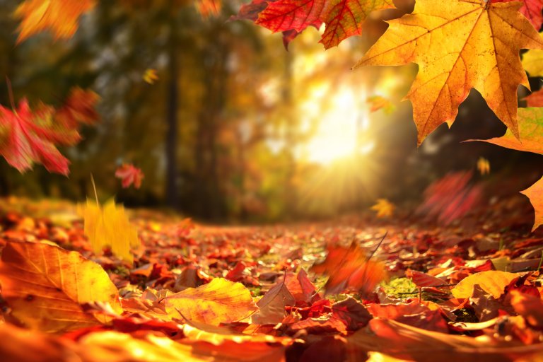 Ya está aquí la campaña de otoño de Cadena88